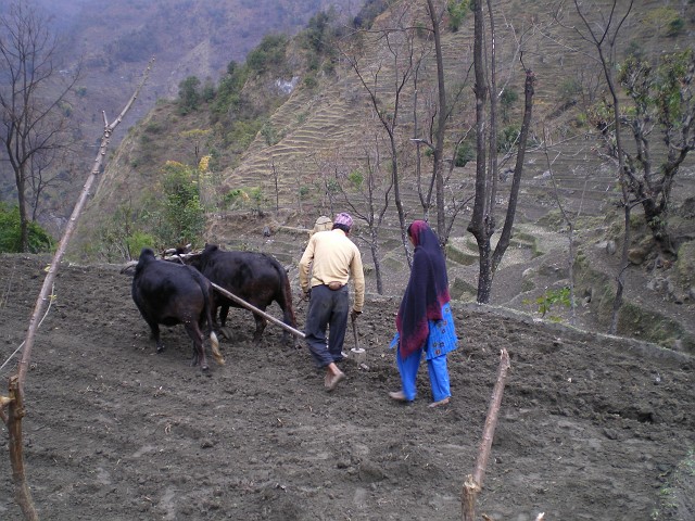 Nepal February March 2007 193
